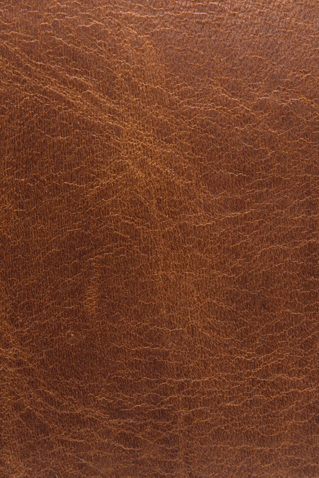 Logan Cognac Top Handle | Frye Best Price