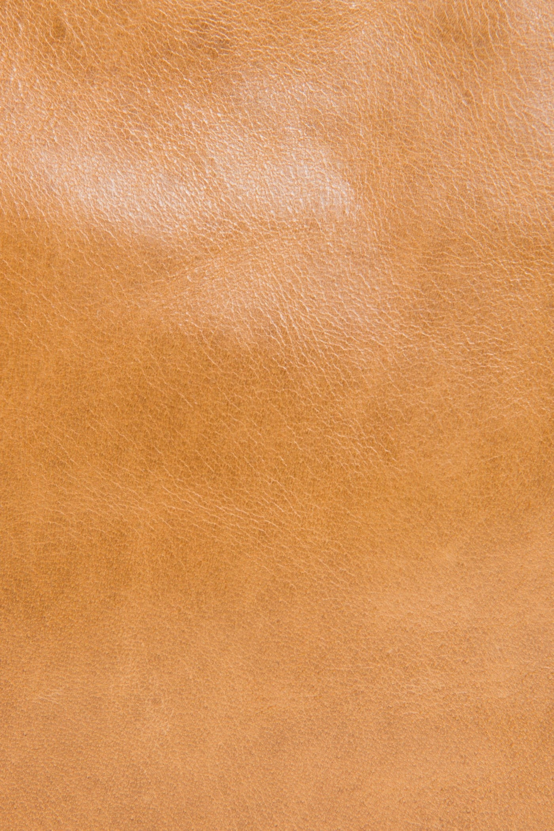 Melissa Beige Swing Pack | Frye Premium