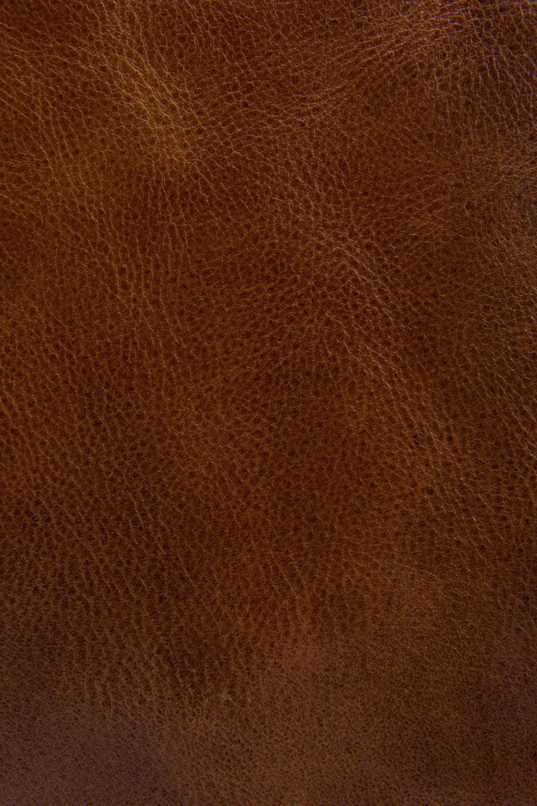 Melissa Cognac Zip Crossbody | Frye Latest