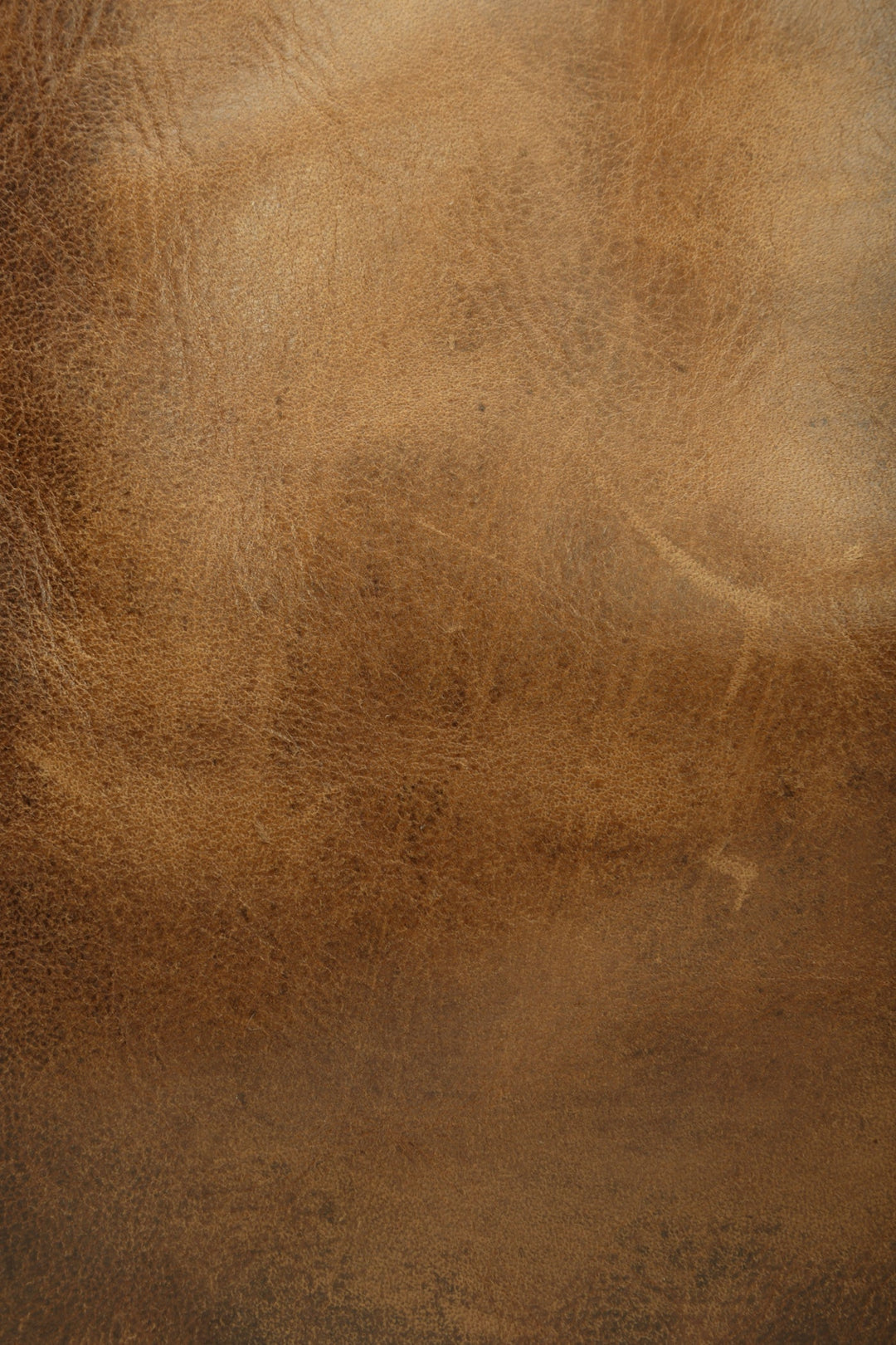 Melissa Cognac Tote | Frye Top Pick