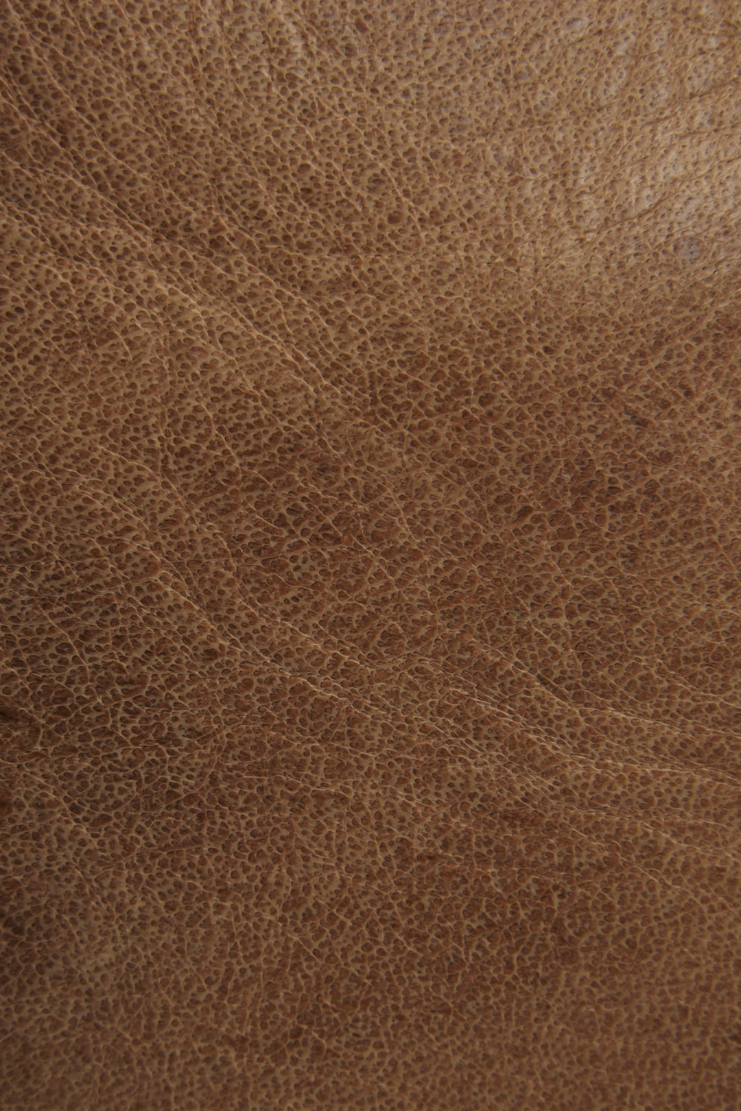 Melissa Beige Tote | Frye Hot Sale
