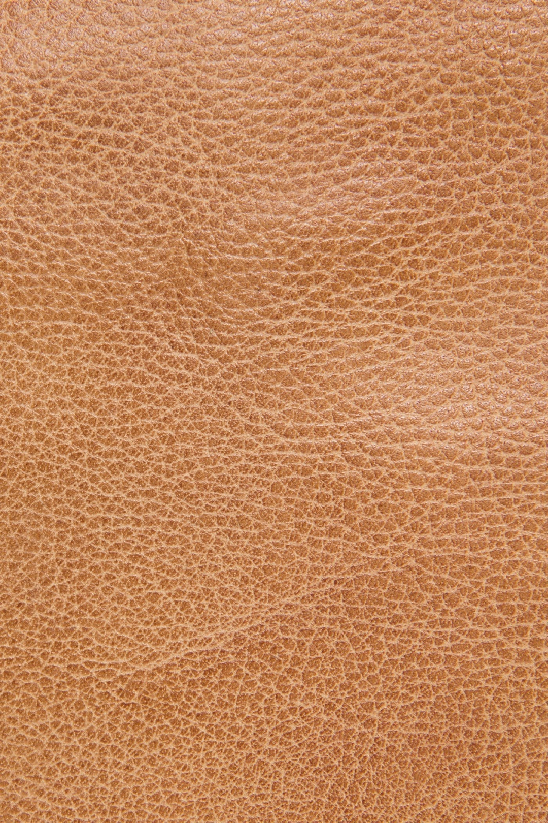 Nora Beige Knotted Tote | Frye Exclusive
