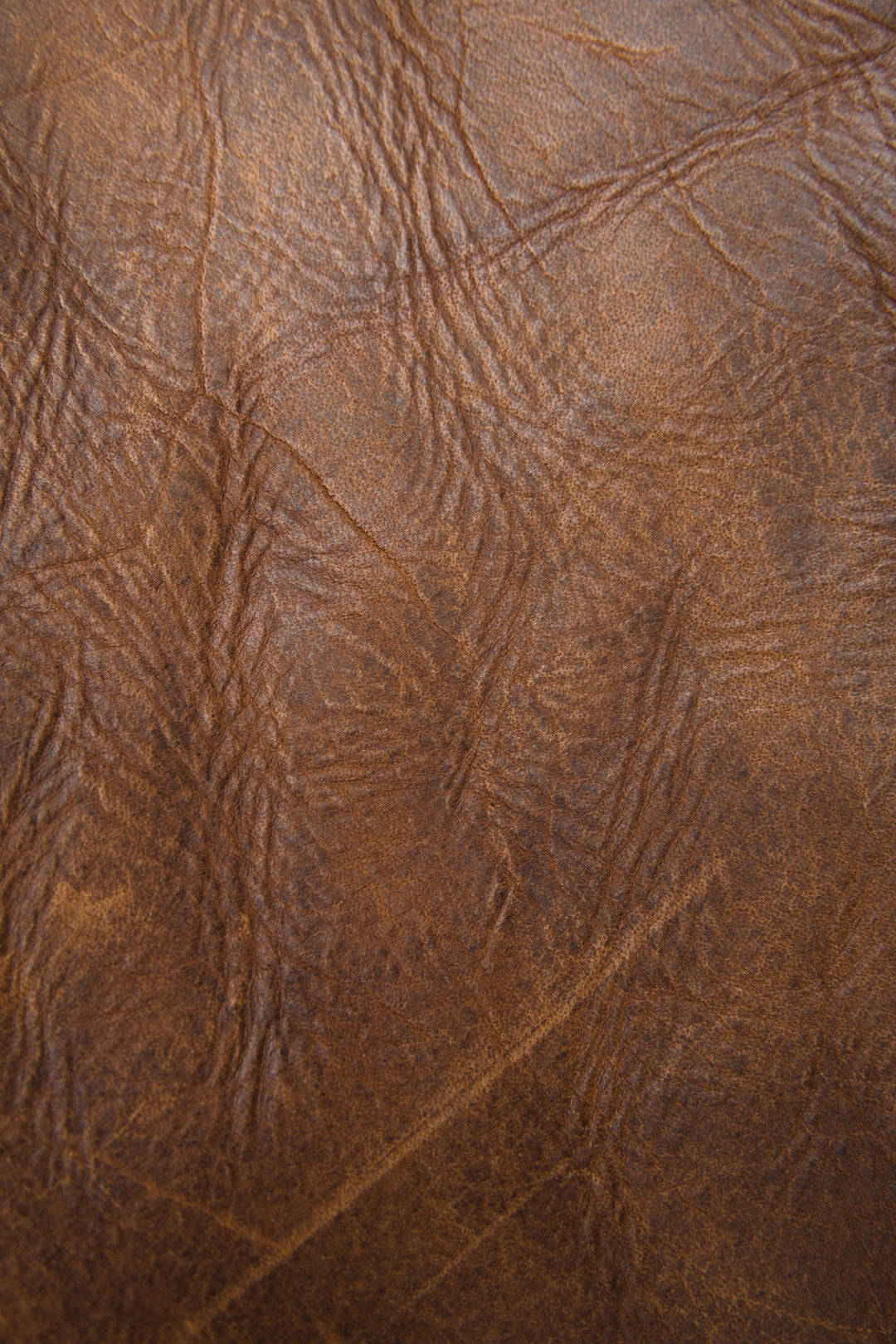Melissa Dark Brown Satchel | Frye Value
