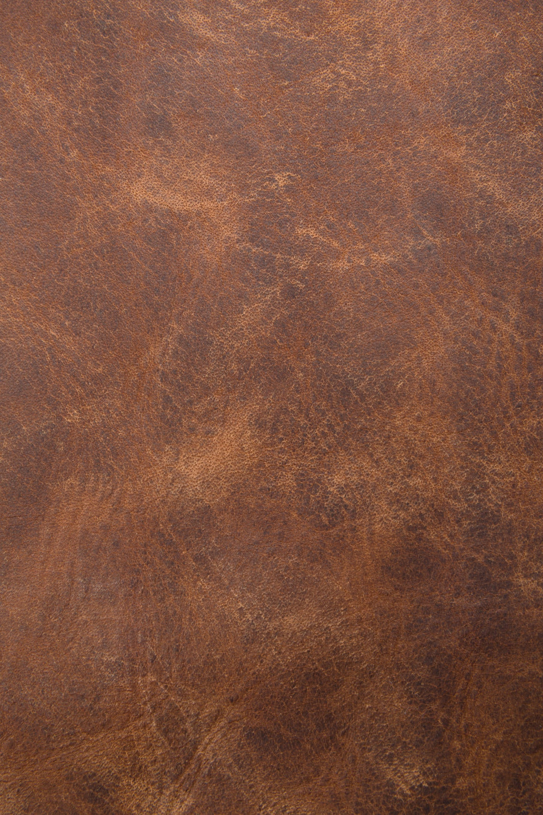 Melissa Cognac Hobo | Frye Great Value