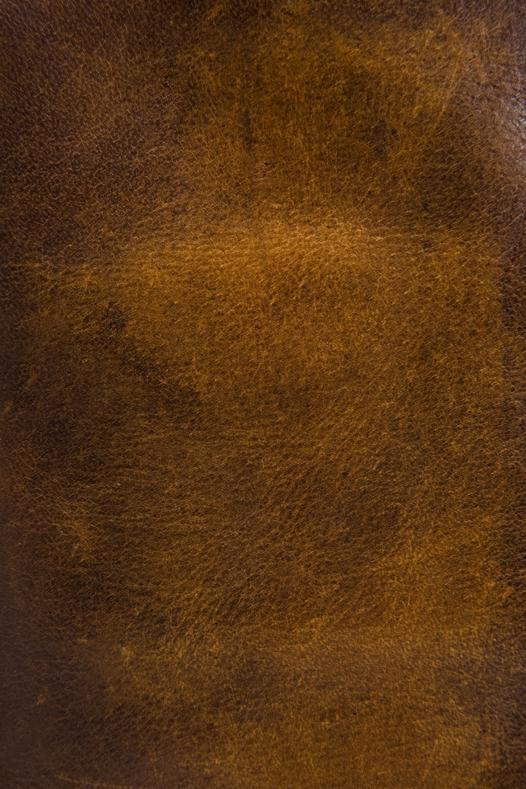 Melissa Dark Brown Wristlet | Frye Great Value