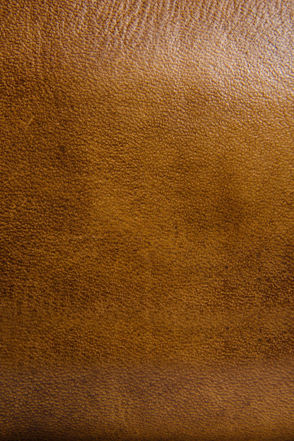 Melissa Beige Zip Wallet | Frye Trending