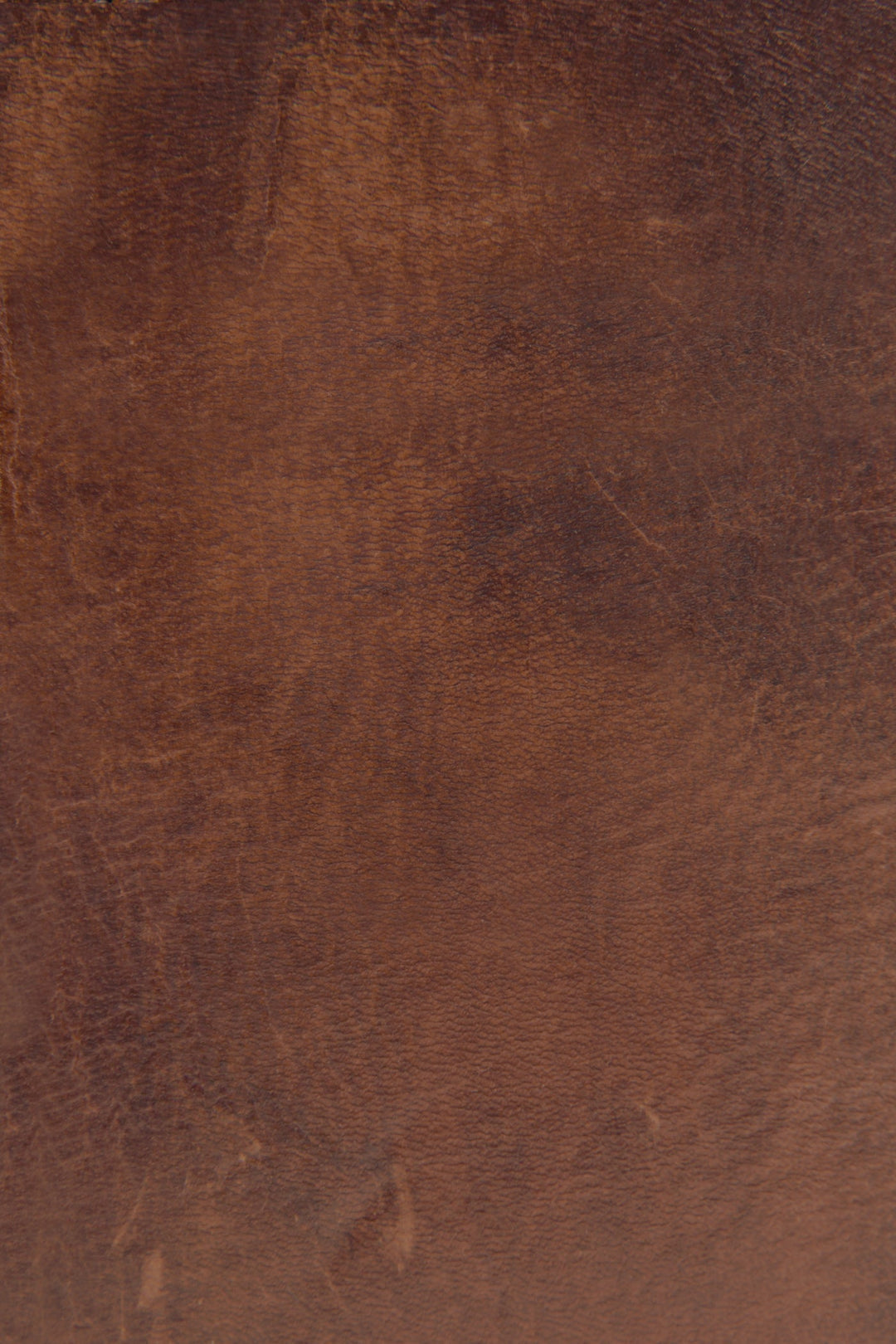 Melissa Cognac Zip Wallet | Frye Deals