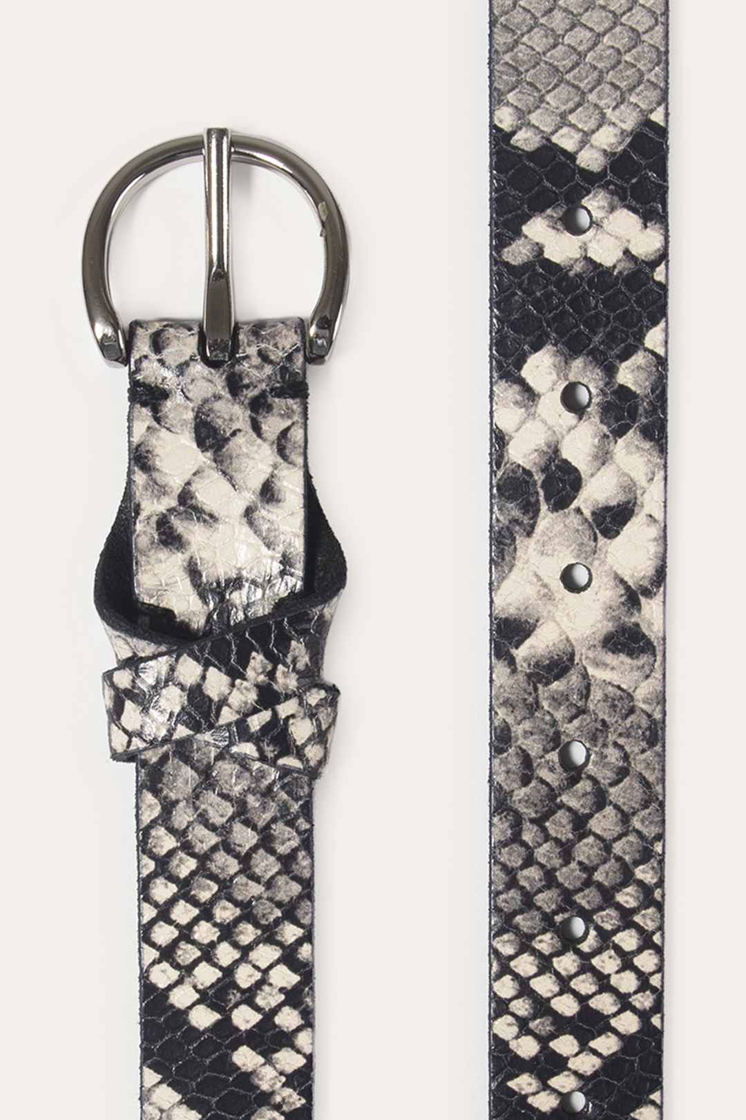 Roccia 25mm Snake Belt | Frye Hot Sale