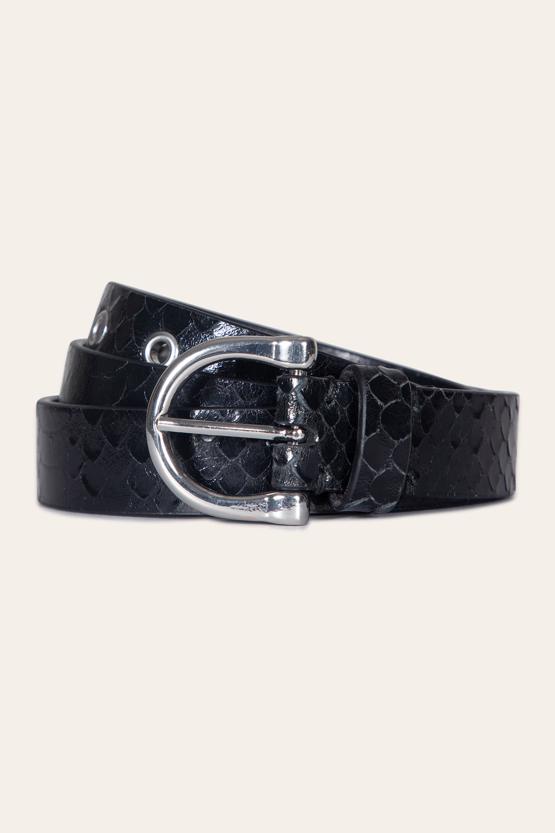 Women’s Black Snake 25mm Horseshoe Buckle Belt With Python | Frye Best Price
