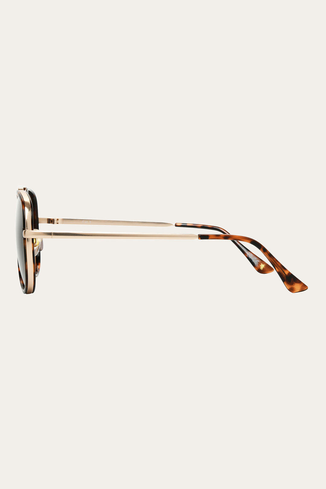 Reagan Tort Sunglasses | Frye Best Price