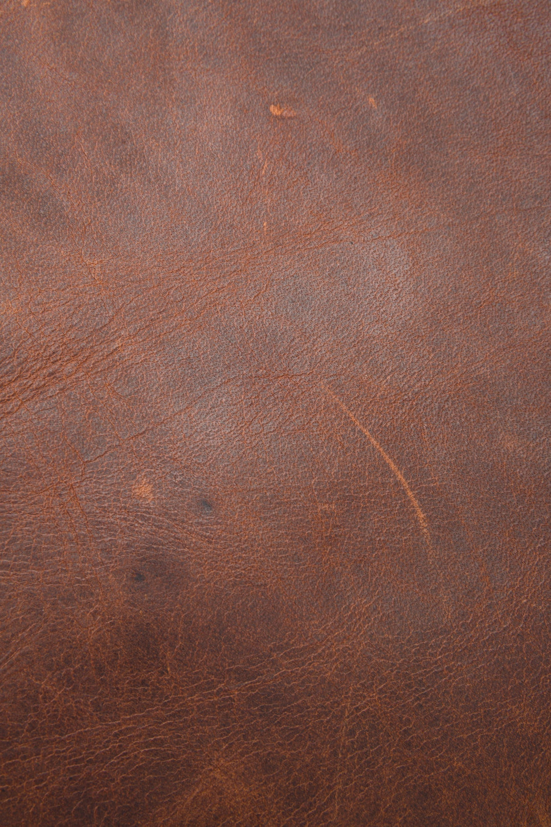 Logan Cognac Backpack | Frye Smart Buy