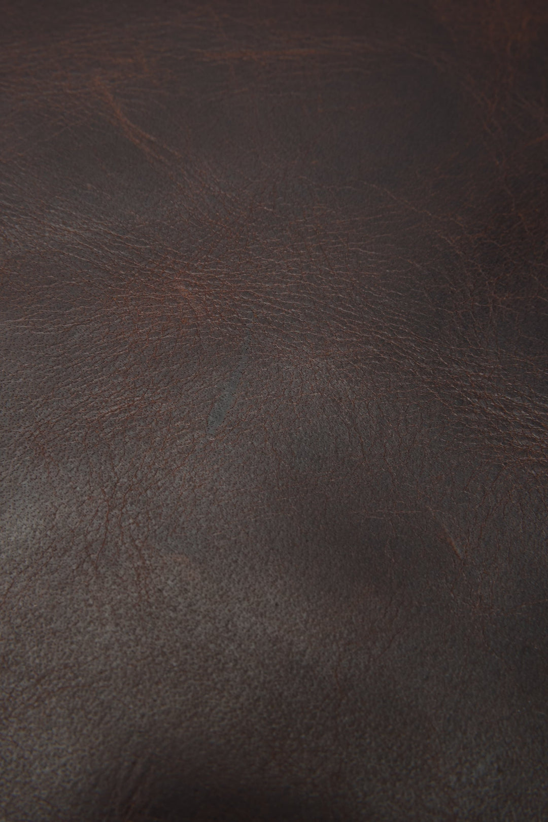 Logan Dark Brown Backpack | Frye Trusted