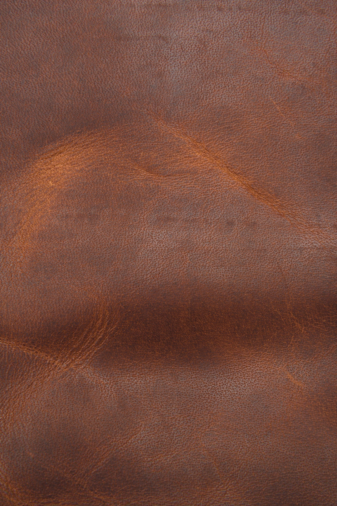 Logan Messenger | Frye Great Value