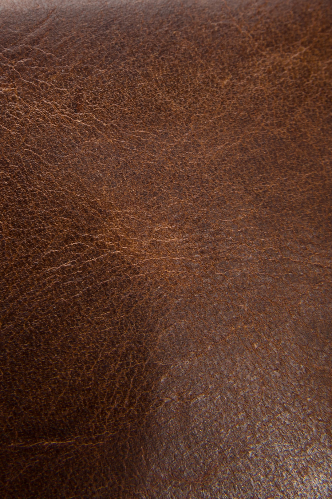 Logan Cognac Billfold | Frye Great Value