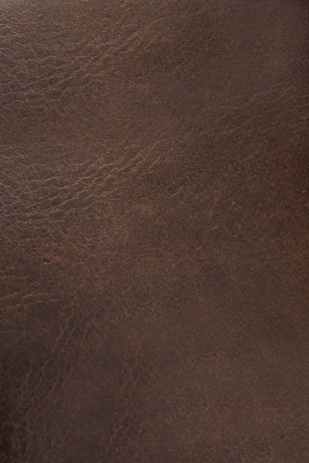 Logan Dark Brown Billfold | Frye Customer Favorite